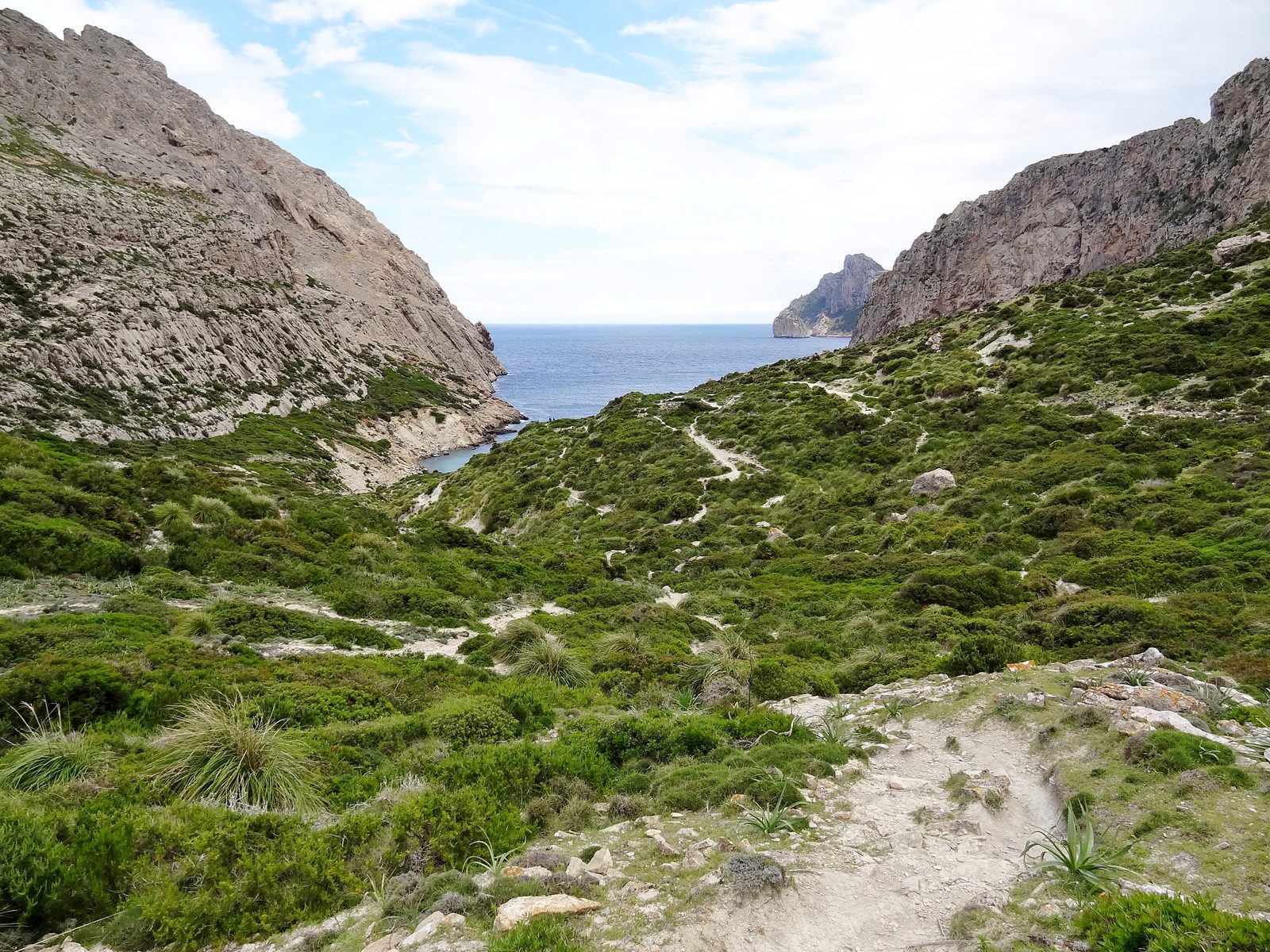 Mallorca Explorer – Tramuntana & Coast