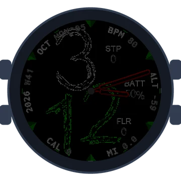 Chalky Look No2 Gen3 Forerunner 170