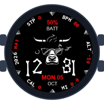 Crypto WSM - Wall Street Memes Gen3 fēnix 6X Pro