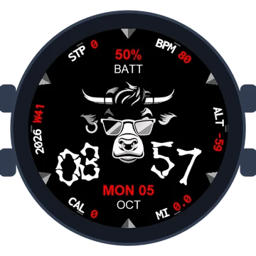 Crypto WSM - Wall Street Memes Gen3 fēnix 9