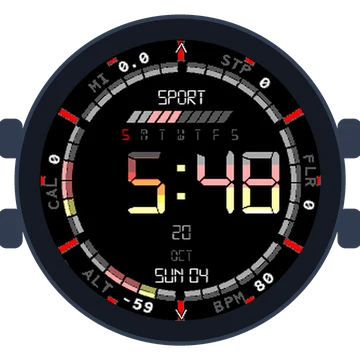 Digital Data Dial Gen3 fēnix 6
