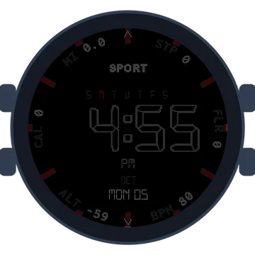 Digital Data Dial Gen3 Forerunner 165