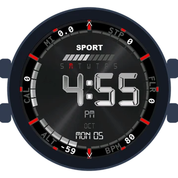 Digital Data Dial Gen3 Forerunner 165
