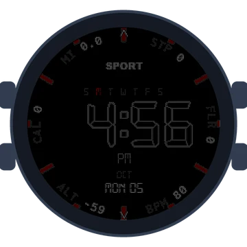 Digital Data Dial Gen3 Forerunner 170