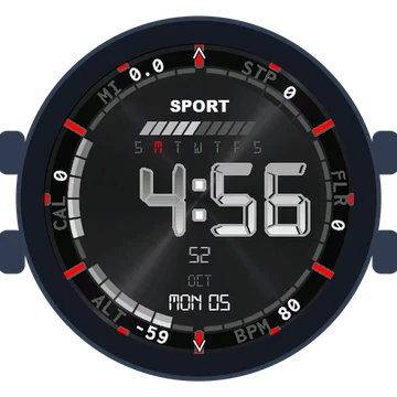 Digital Data Dial Gen3 Forerunner 170