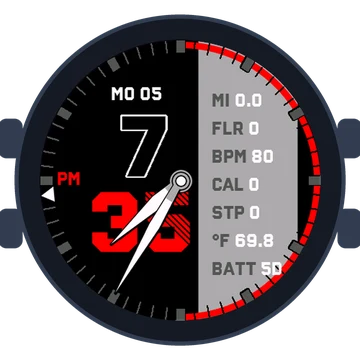Digital Reload 4 Gen3 Forerunner 165