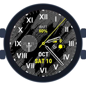 Just Simple Analog Numbers Roman Gen3 Approach S62