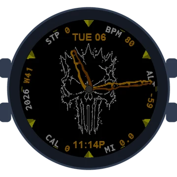 Rebel Skull Gen3 Forerunner 170