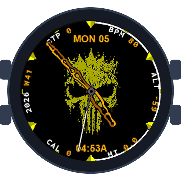 Rebel Skull Gen3 – Forerunner 245