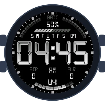 Simple Large Digital Gen3 Descent Mk3