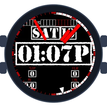 Time Stamper – Forerunner 265