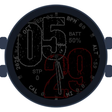 Used Look Big Numbers Gen3 epix (Gen 2)