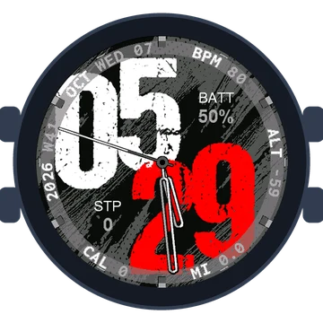 Used Look Big Numbers Gen3 epix (Gen 2)
