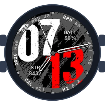 Used Look Big Numbers Gen3 fēnix 5