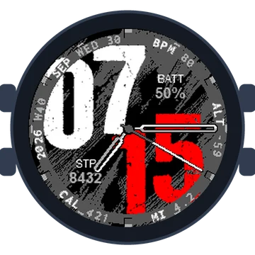 Used Look Big Numbers Gen3 fēnix 5S