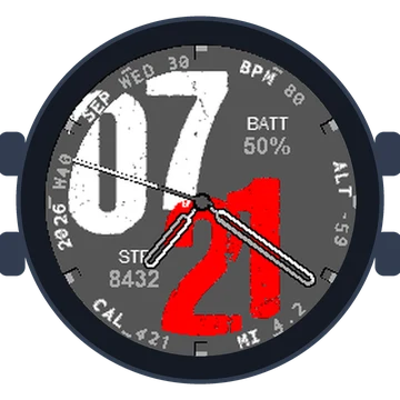 Used Look Big Numbers Gen3 fēnix Chronos