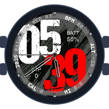 Used Look Big Numbers Gen3 fēnix E