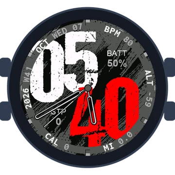 Used Look Big Numbers Gen3 Forerunner 165