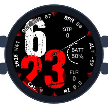 Used Look No2 Gen3 fēnix E