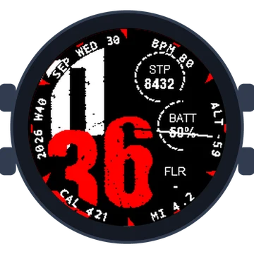Used Look No2 Gen3 Forerunner 55